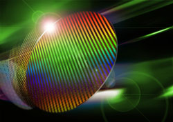 Services Other Services